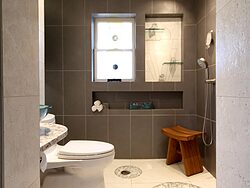Universal Design Gray Bathroom