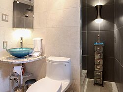 Universal Design Gray Bathroom - Toilet