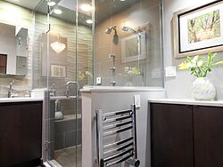 Contemporary Bathroom - Shower Design