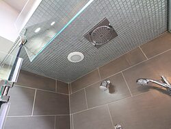 Contemporary Bathroom - Shower Head