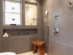 Universal Design Gray Bathroom - Doorless Shower
