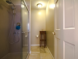 Neutral Bathroom With Fireplace - Shower